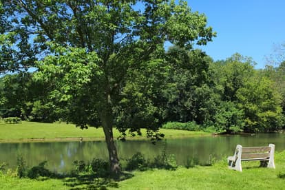 Flory Park.jpg